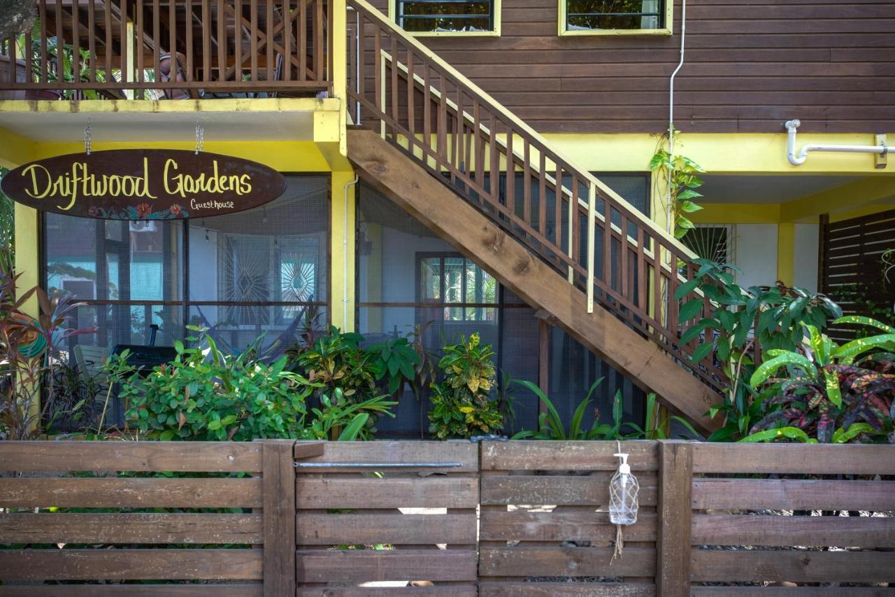 Driftwood Gardens Guesthouse Placencia Exterior foto
